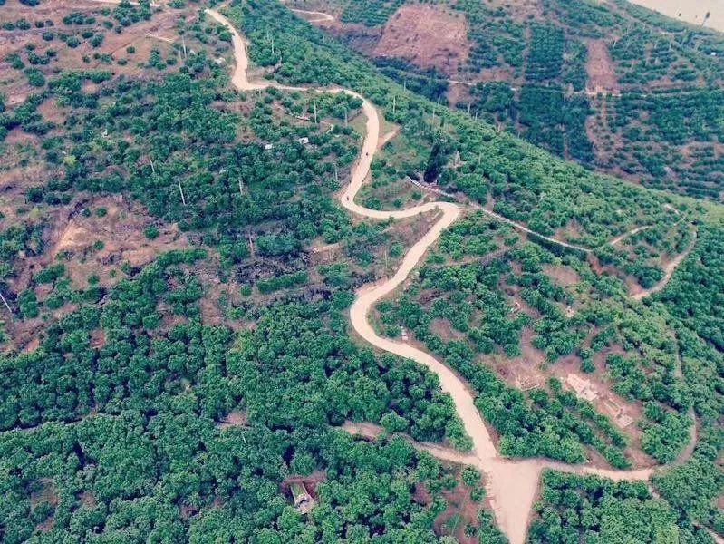 恩施富硒小土豆产品理念（恩施富硒小土豆产地）-硒宝网