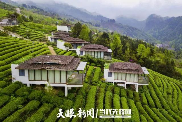 安顺富硒农产品认证标准(贵州富硒农旅发展有限公司)-硒宝网