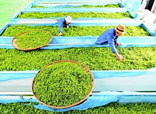 安顺富硒农产品认证标准(贵州富硒农旅发展有限公司)-硒宝网