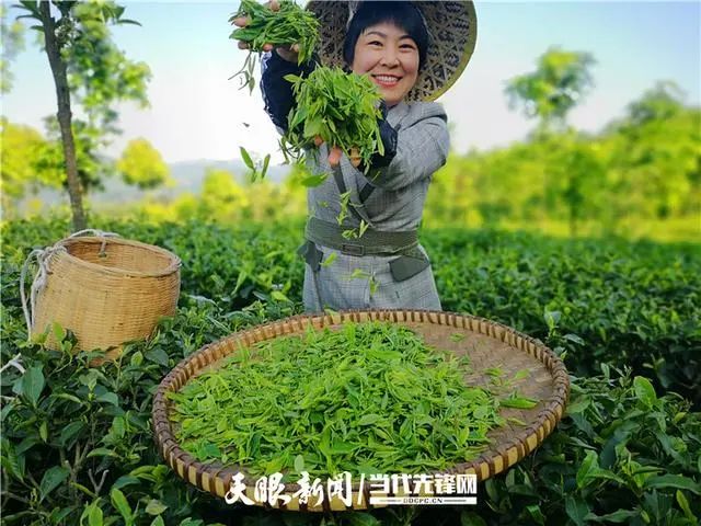 安顺富硒农产品认证标准(贵州富硒农旅发展有限公司)-硒宝网