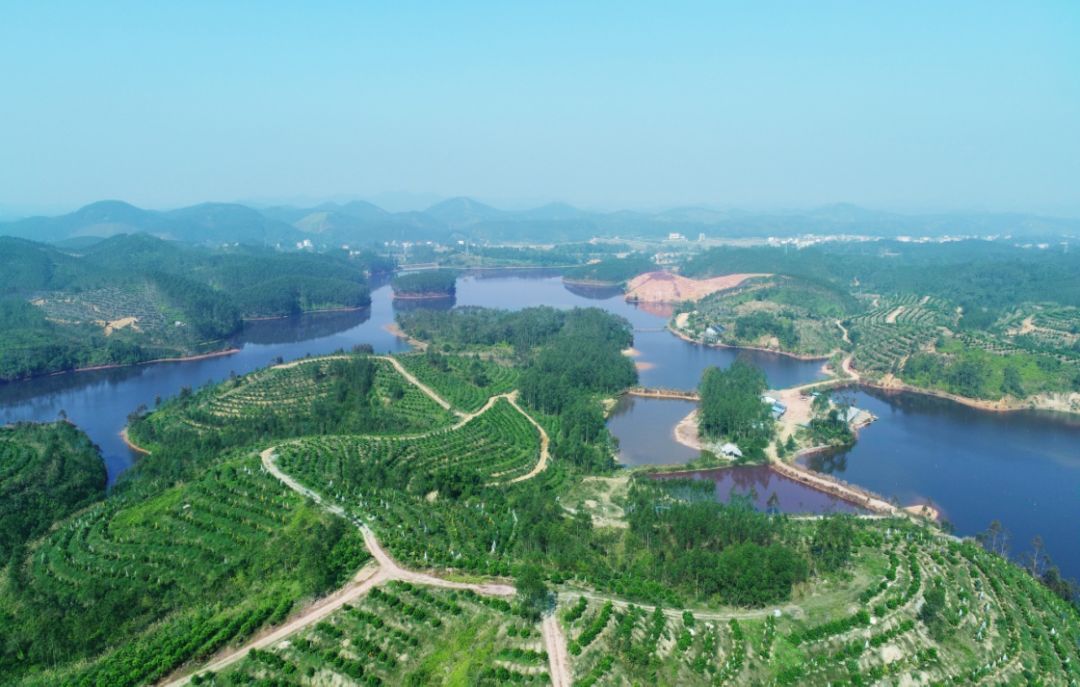 安顺富硒农产品认证中心（安康平顺县富硒茶）-硒宝网