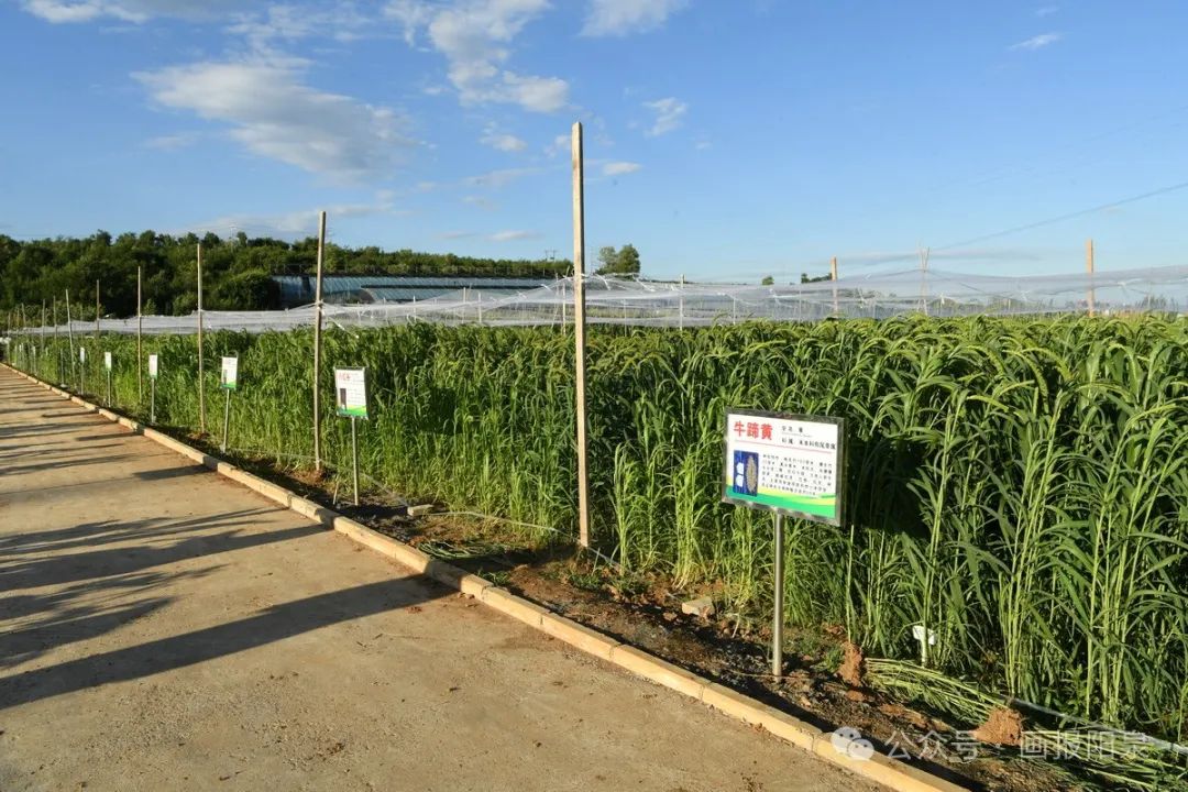 富硒农产品怎样降低价格(富硒农产品市场需求)-硒宝网