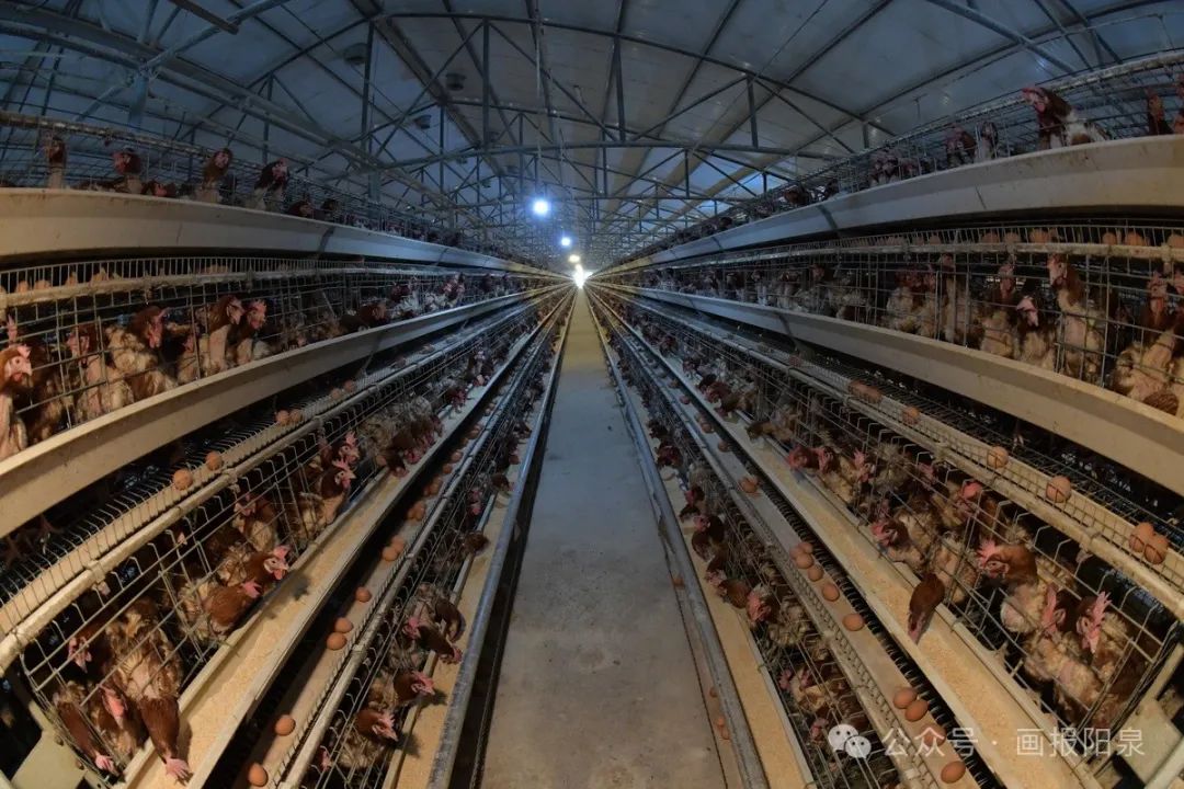 富硒农产品怎样降低价格(富硒农产品市场需求)-硒宝网