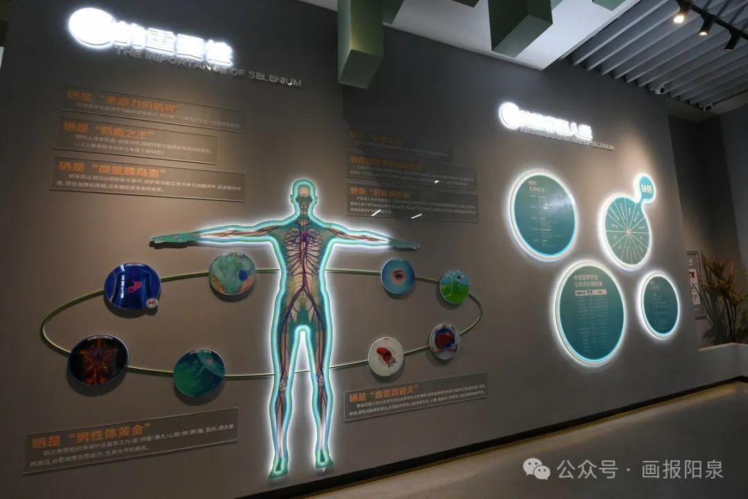 富硒农产品怎样降低价格(富硒农产品市场需求)-硒宝网