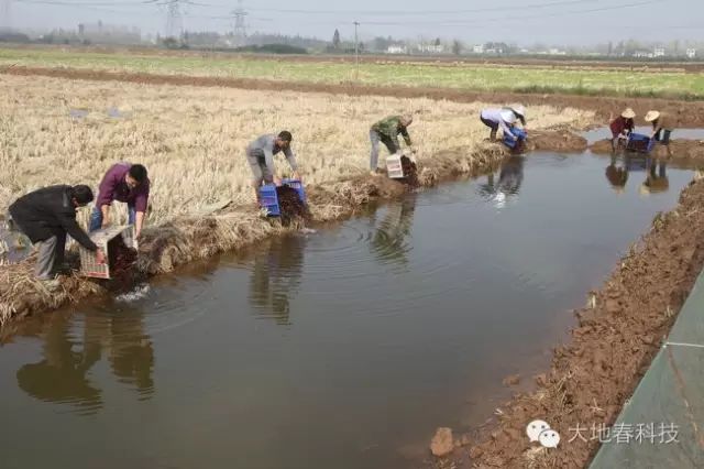 富硒农产品种植技术要点(富硒种植技术管理)-硒宝网