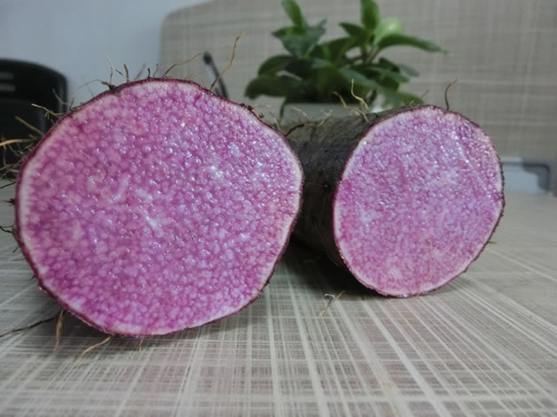 真正的富硒农产品有哪些（富硒农产品对人体的好处）-硒宝网