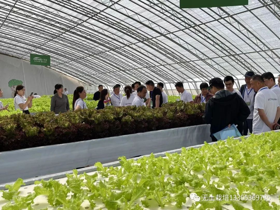 富硒农产品种植技术要点(富硒农作物生产技术)-硒宝网