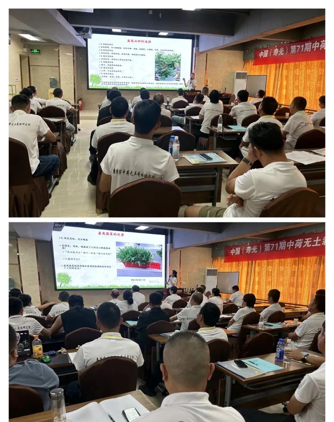 富硒农产品种植技术要点(富硒农作物生产技术)-硒宝网