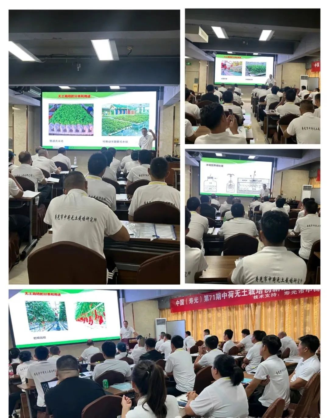 富硒农产品种植技术要点(富硒农作物生产技术)-硒宝网