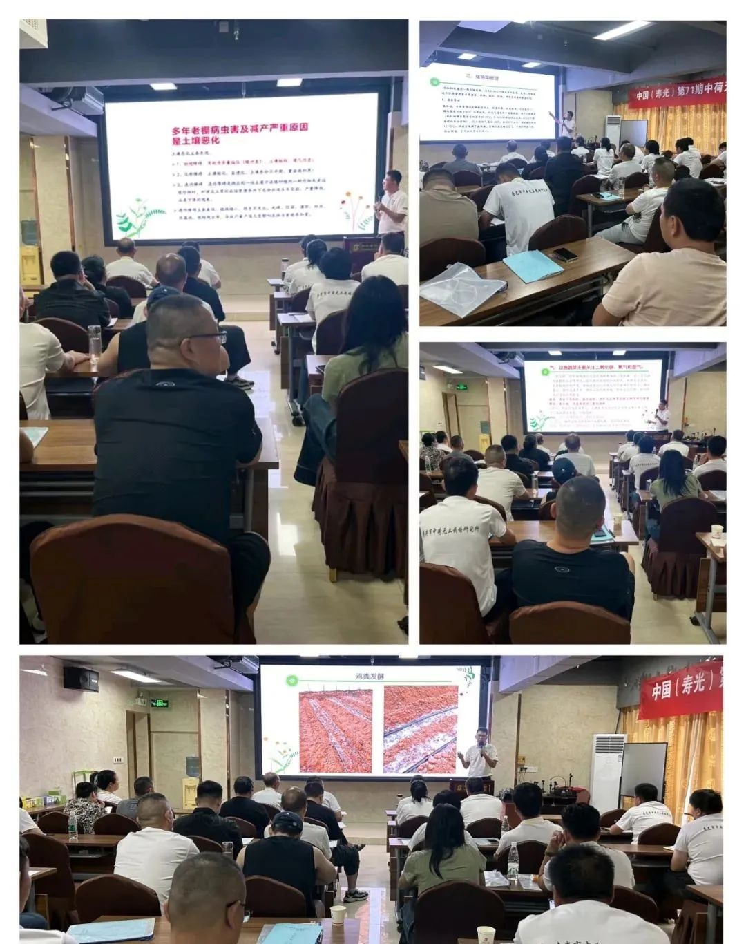 富硒农产品种植技术要点(富硒农作物生产技术)-硒宝网