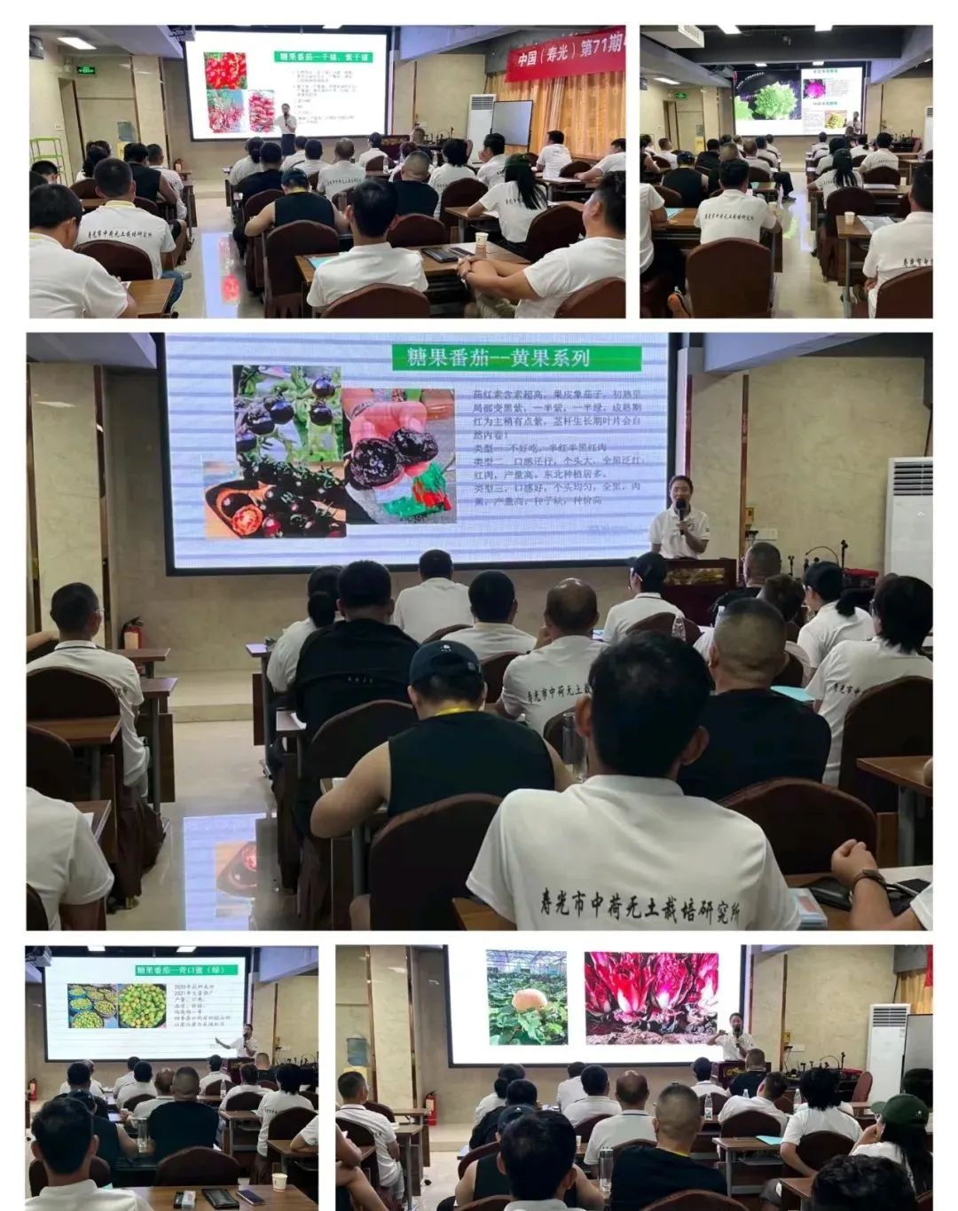 富硒农产品种植技术要点(富硒农作物生产技术)-硒宝网