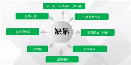 富硒类产品的特点是什么(特点类富硒产品是什么)-硒宝网