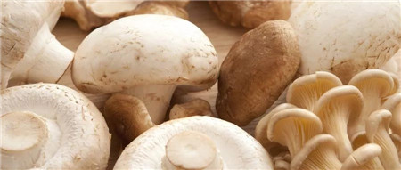 富硒类产品的特点是什么(特点类富硒产品是什么)-硒宝网