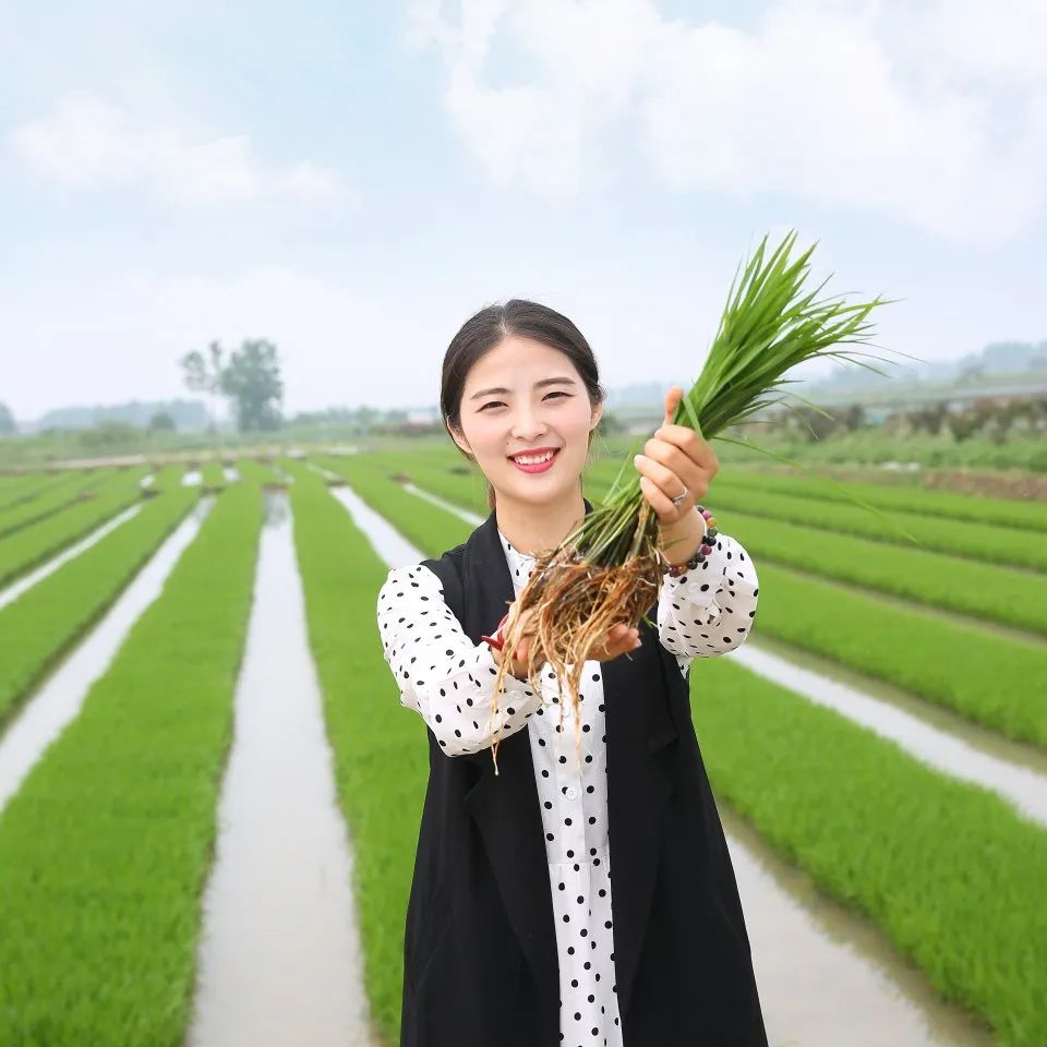 安徽富硒农产品认证标准(安徽农硒米业有限公司)-硒宝网