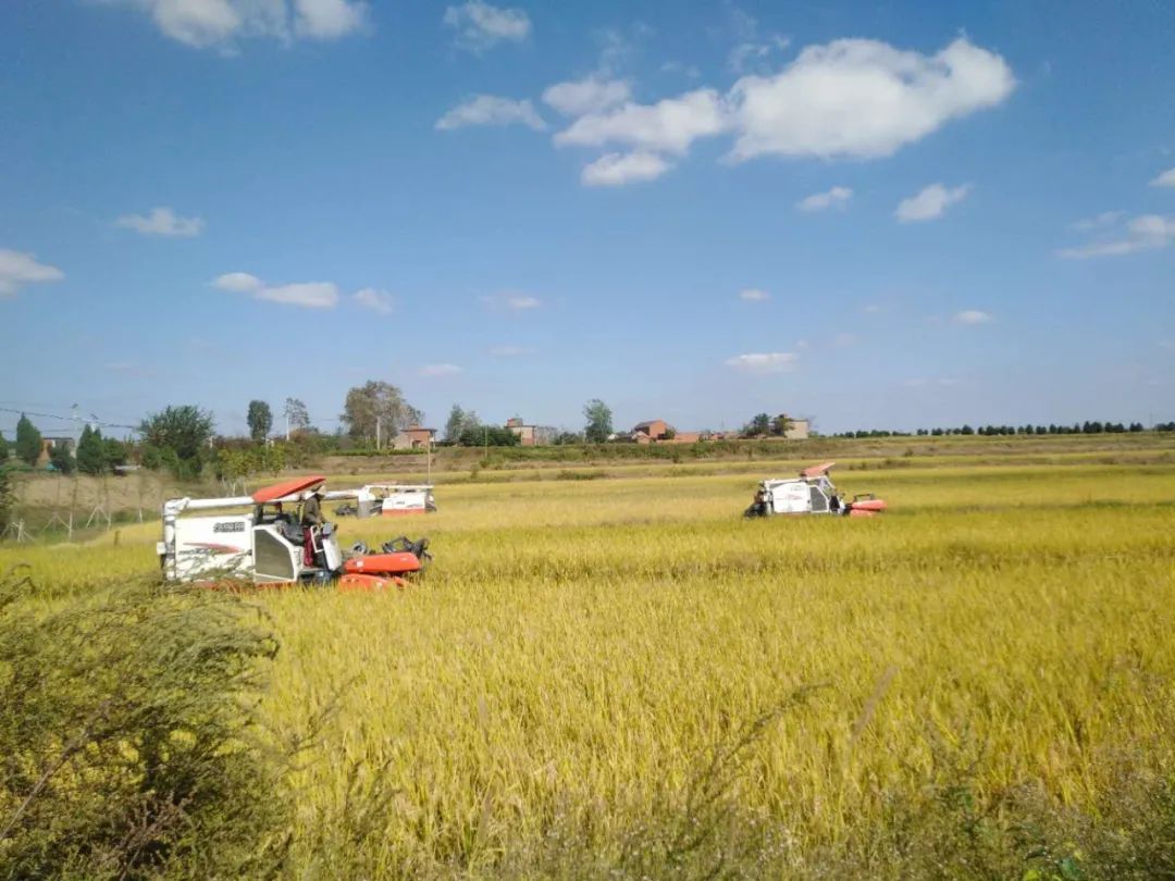 安徽富硒农产品认证标准(安徽农硒米业有限公司)-硒宝网