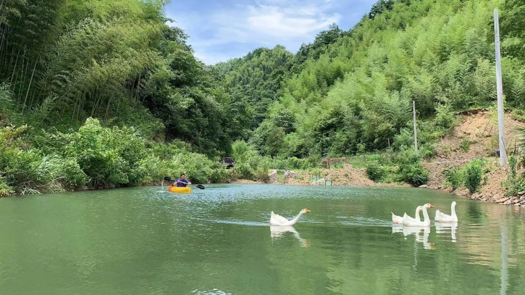 安徽富硒农产品认证标准(安徽农硒米业有限公司)-硒宝网