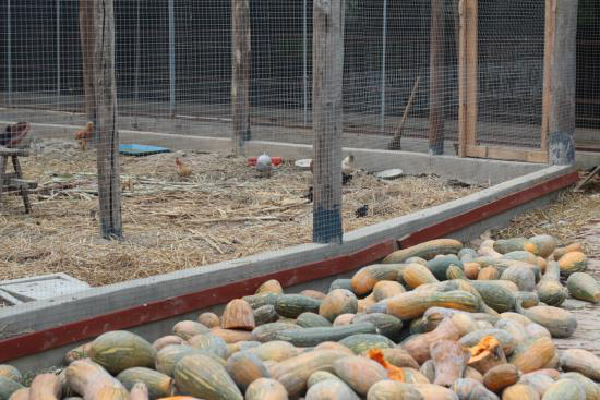 安徽富硒农产品认证标准(安徽农硒米业有限公司)-硒宝网