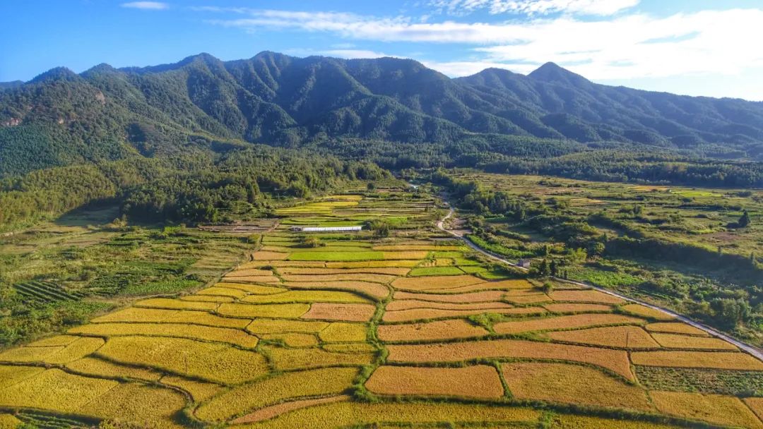安徽富硒农产品认证标准(安徽农硒米业有限公司)-硒宝网