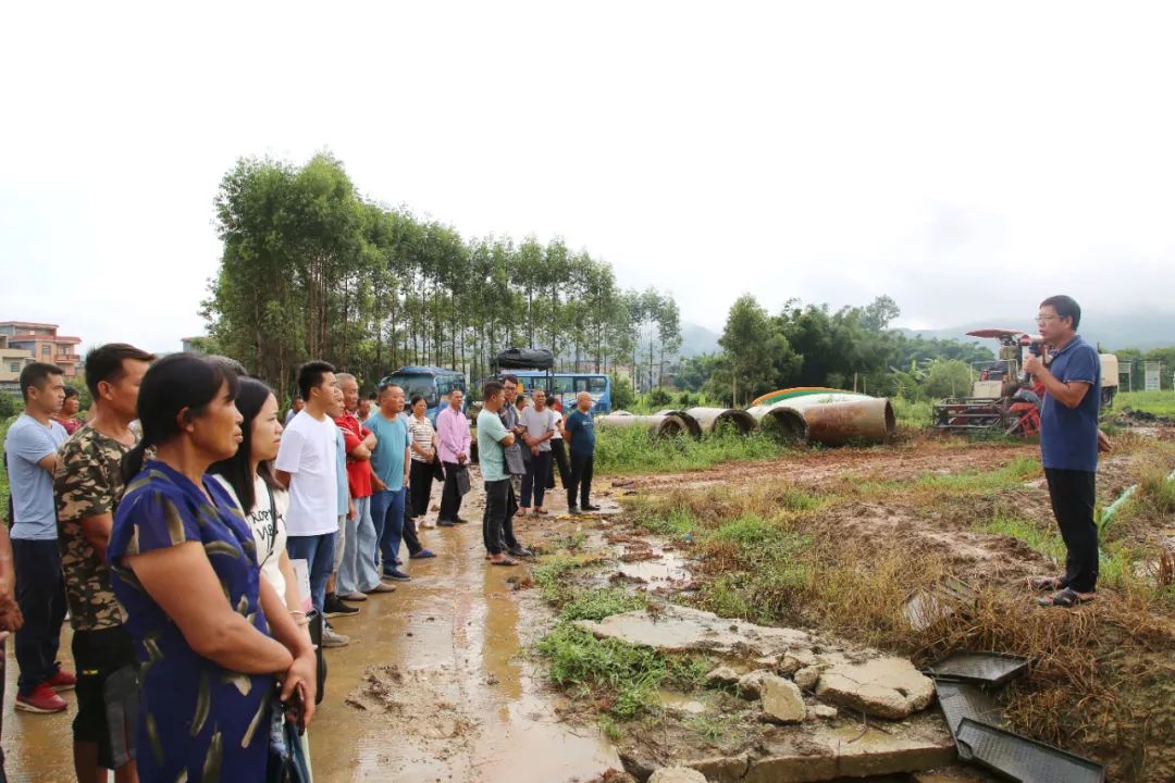 富硒农产品种植技术要点(富硒农作物)-硒宝网