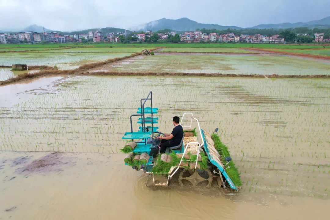 富硒农产品种植技术要点(富硒农作物)-硒宝网
