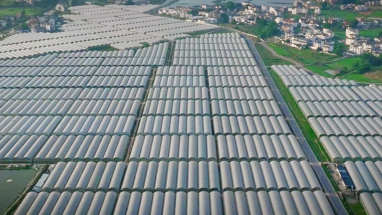 于都富硒农产品包装设计（于都富硒农业）-硒宝网