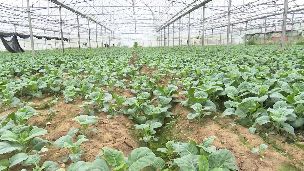 于都富硒农产品包装设计（于都富硒农业）-硒宝网