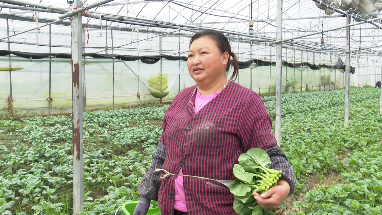 于都富硒农产品包装设计（于都富硒农业）-硒宝网