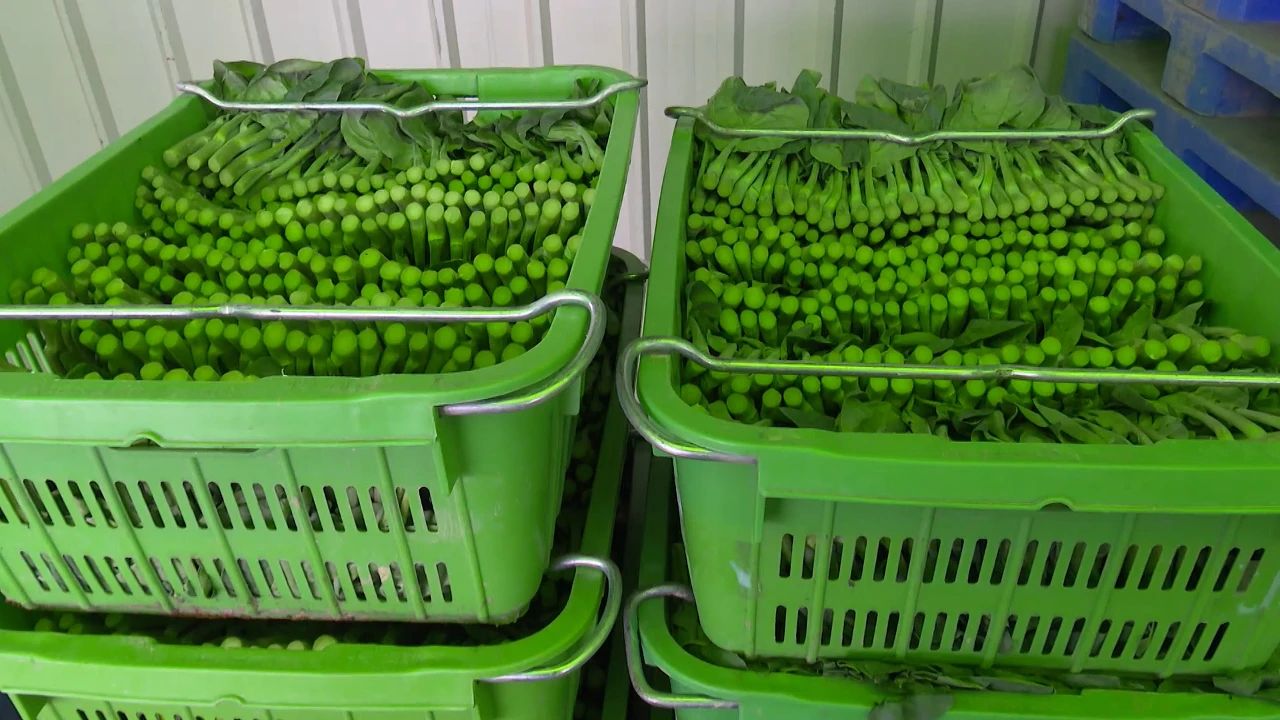 于都富硒农产品包装设计（于都富硒农业）-硒宝网