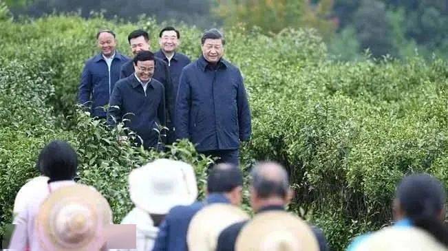 于都县有多少个富硒产品(于都富硒产业发展中心)-硒宝网