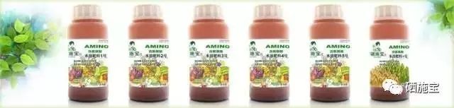 种植富硒桃的富硒肥产品（桃树富硒的应用技术）-硒宝网