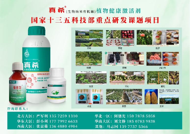 植物硒是有机富硒产品吗(植物硒好吗)-硒宝网