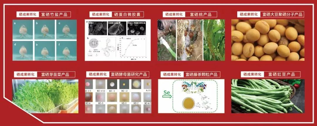 硒之源富硒产品交易中心(富硒原液厂家)-硒宝网