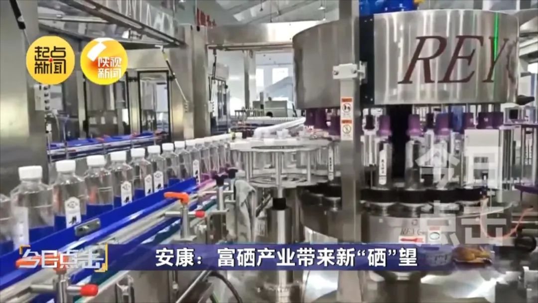 富硒产品硒元素技术研发(硒元素的富集)-硒宝网