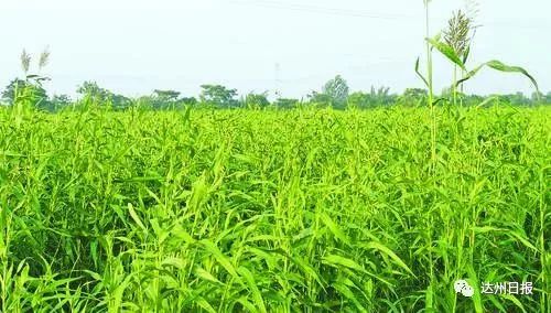 硒之源富硒产品交易中心(富硒源食品有限公司)-硒宝网