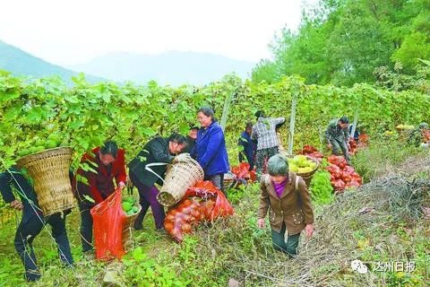 硒之源富硒产品交易中心(富硒源食品有限公司)-硒宝网