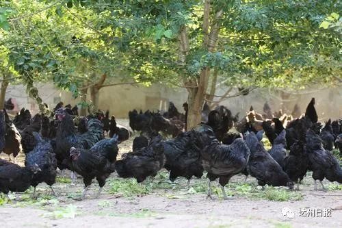 硒之源富硒产品交易中心(富硒源食品有限公司)-硒宝网