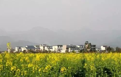 贵港有哪些著名富硒产品（贵港富硒产业）-硒宝网