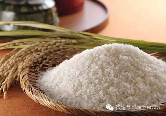 富硒文化创意产品有哪些（富硒产业广告语揭晓）-硒宝网