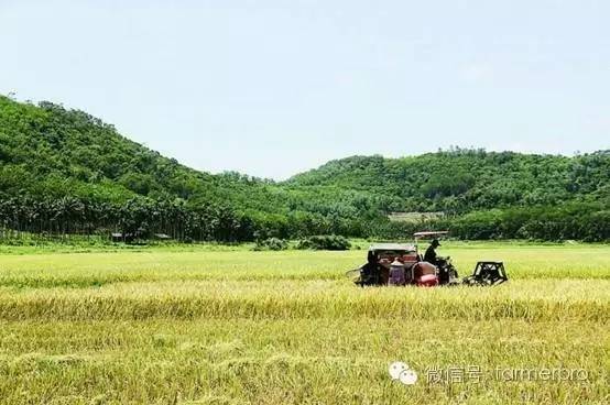 富硒文化创意产品有哪些（富硒产业广告语揭晓）-硒宝网
