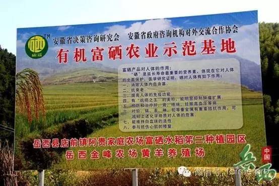 富硒文化创意产品有哪些（富硒产业广告语揭晓）-硒宝网