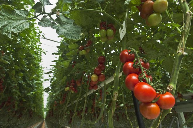 富硒粮仓卖什么产品好卖(富硒粮仓全国专卖店门头)-硒宝网