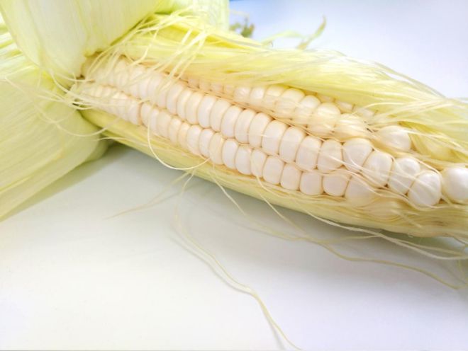 富硒粮仓卖什么产品好卖(富硒粮仓全国专卖店门头)-硒宝网