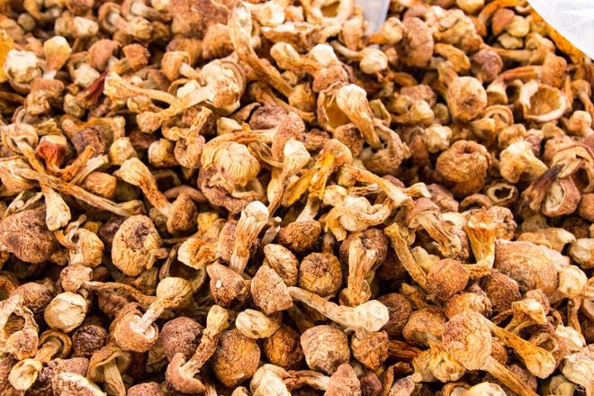 富硒粮仓卖什么产品好卖(富硒粮仓全国专卖店门头)-硒宝网