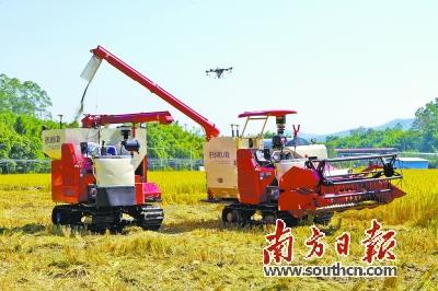 玉米富硒产品含量标准号（富硒玉米和普通玉米营养一样吗）-硒宝网