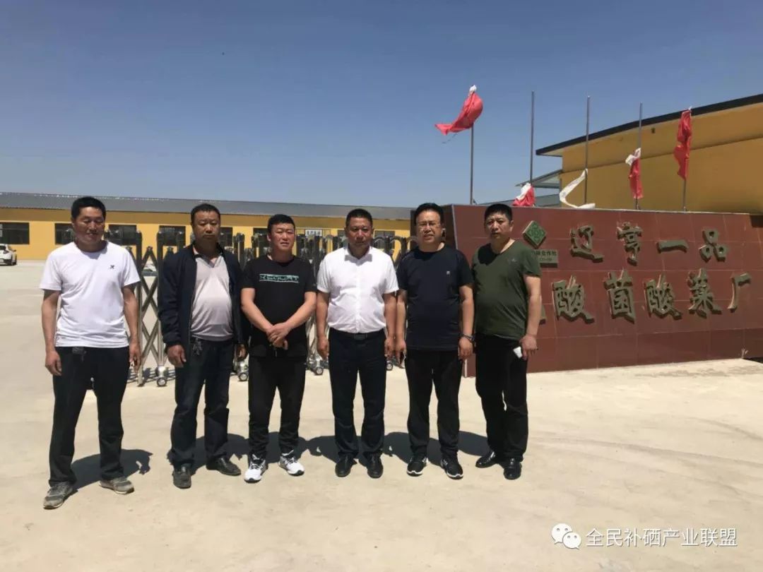 富硒产品可以分解农药吗（富硒农药怎么使用）-硒宝网