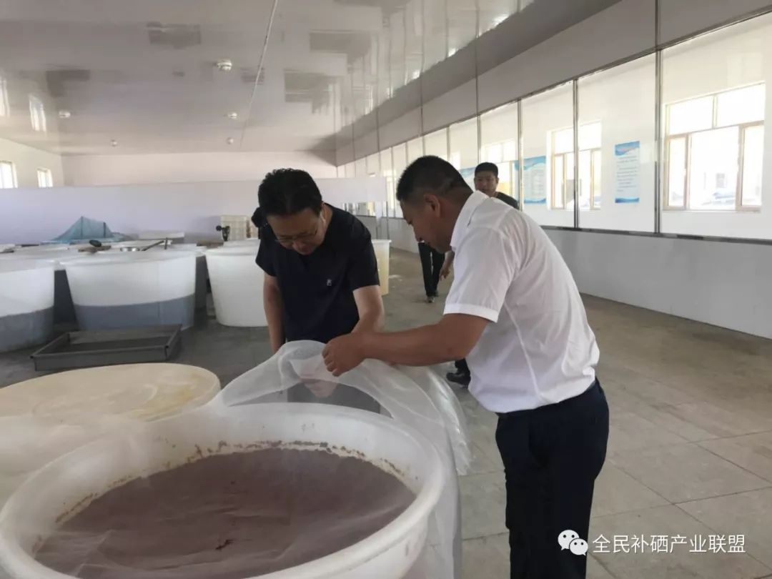 富硒产品可以分解农药吗（富硒农药怎么使用）-硒宝网