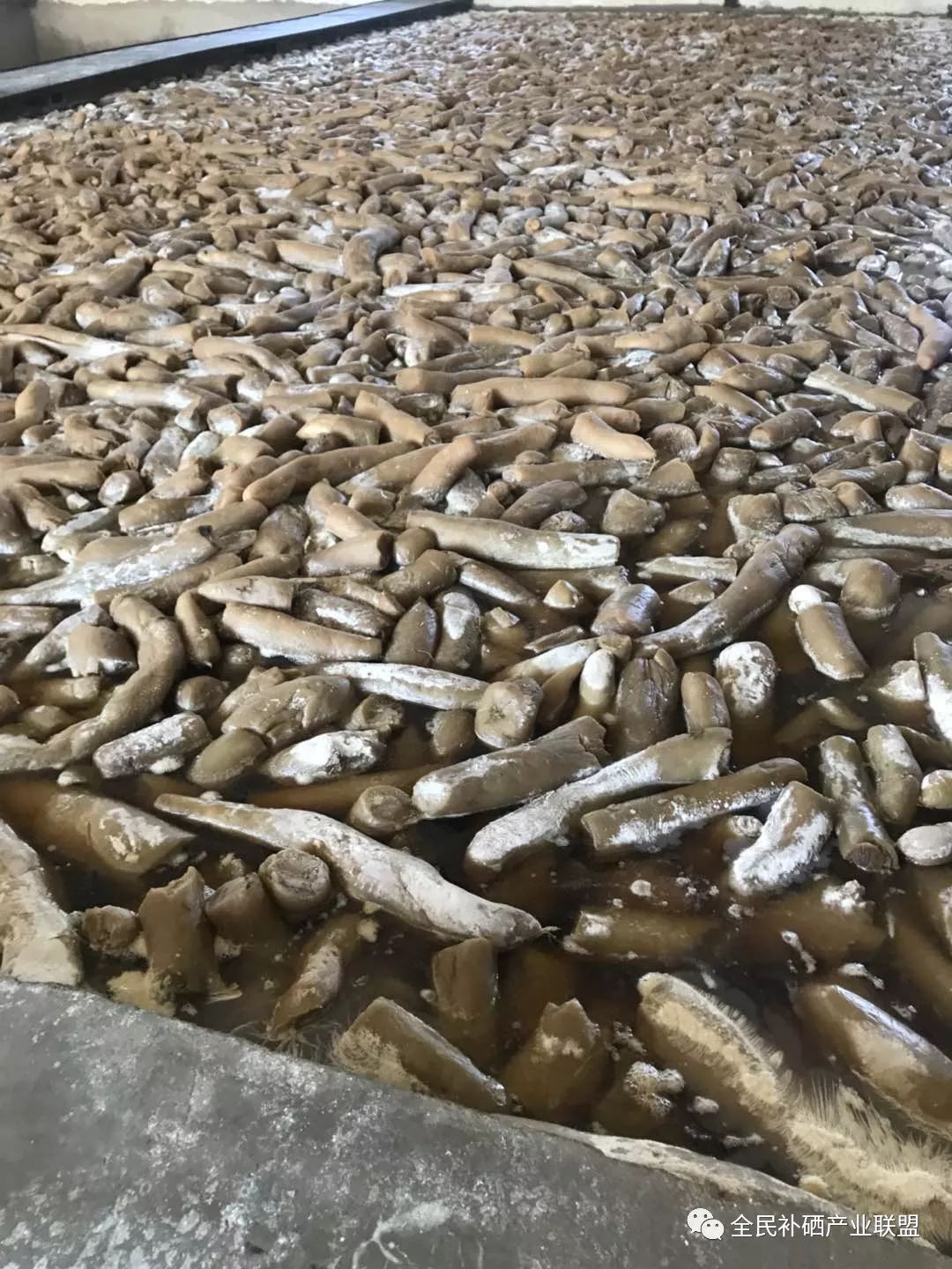 富硒产品可以分解农药吗（富硒农药怎么使用）-硒宝网