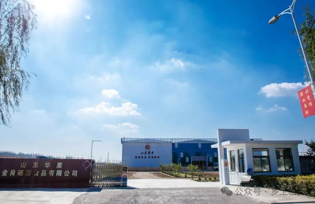 现在富硒产品市场好做吗（富硒食品市场前景）-硒宝网