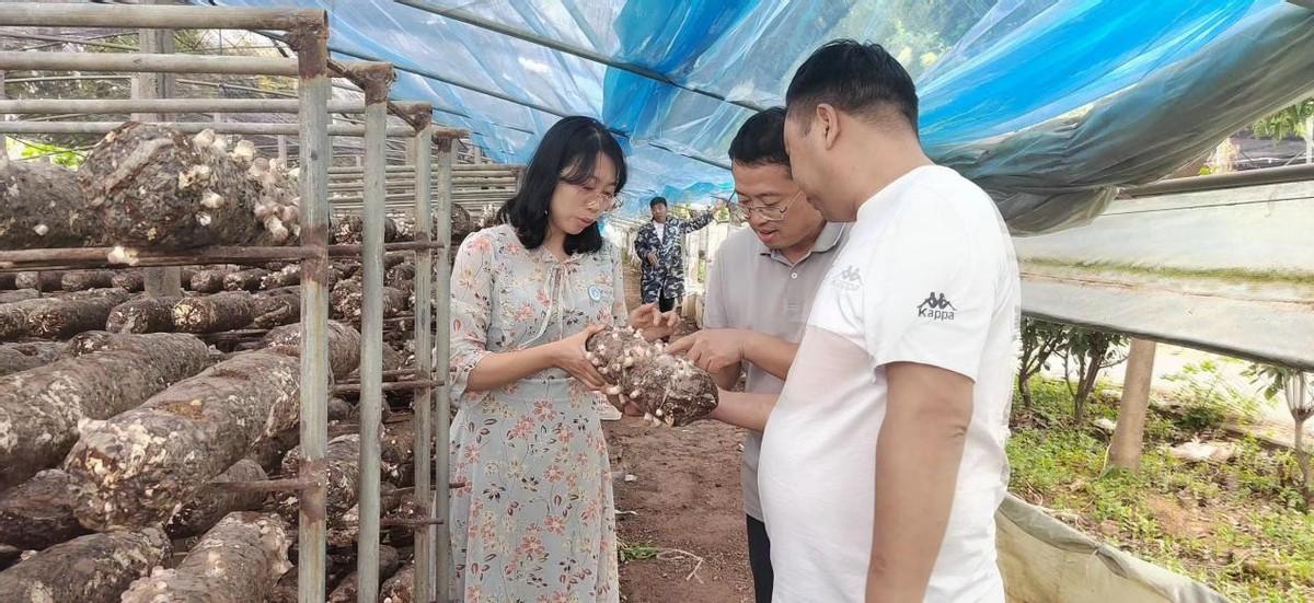 富硒香菇品牌有哪些产品(香菇富硒品牌产品有那些)-硒宝网