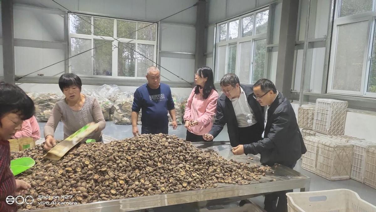 富硒香菇品牌有哪些产品(香菇富硒品牌产品有那些)-硒宝网